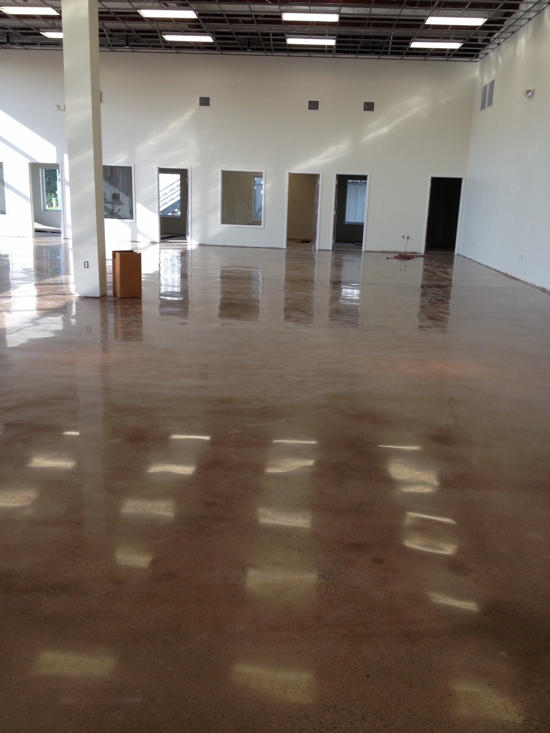 Large brown-stained polished concrete floor reflecting the ceiling lights in an empty commercial space